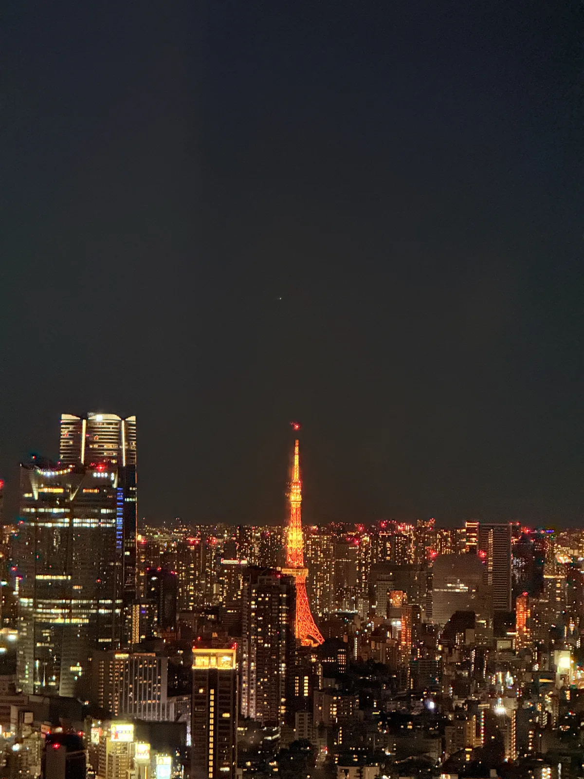 灯海