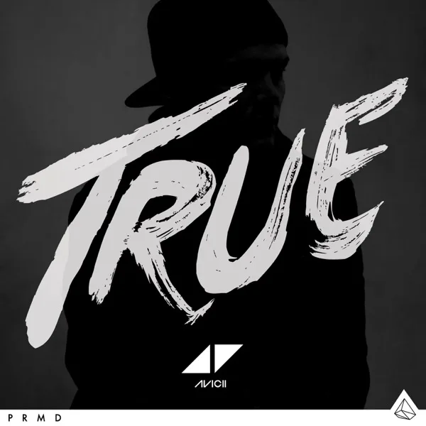 Hey Brother — Avicii