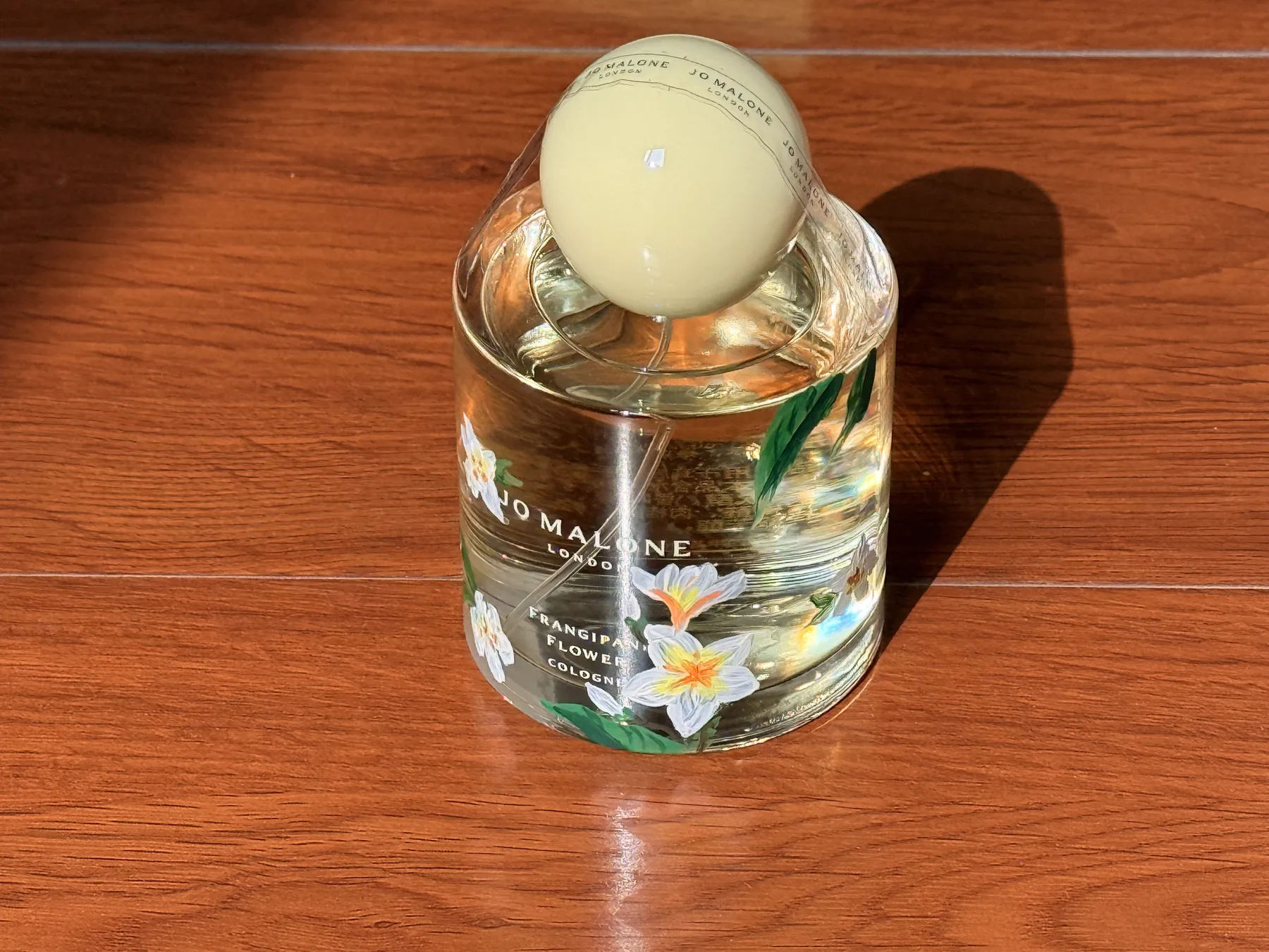 Frangipani Flower 氛围